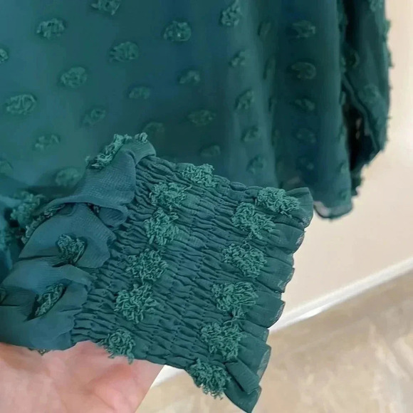 (5) NWOT Swiss dot sheer  long sleeve blouse - Picture 4 of 5